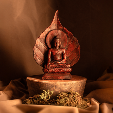 Bodhi Blessing - Wooden Buddha Statue